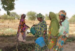 Crise alimentaire au Niger