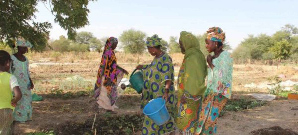 Crise alimentaire au Niger