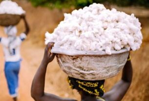 À Lomé, les producteurs africains de coton se réunissent pour discuter de la professionnalisation de la filière.