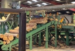 Cameroun : Le pays alloue 224 hectares de zones industrielles pour encourager la transformation locale du bois