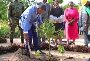 Au Togo, le Président Faure Gnassingbé annonce des projets d'envergure pour soutenir l'agriculture