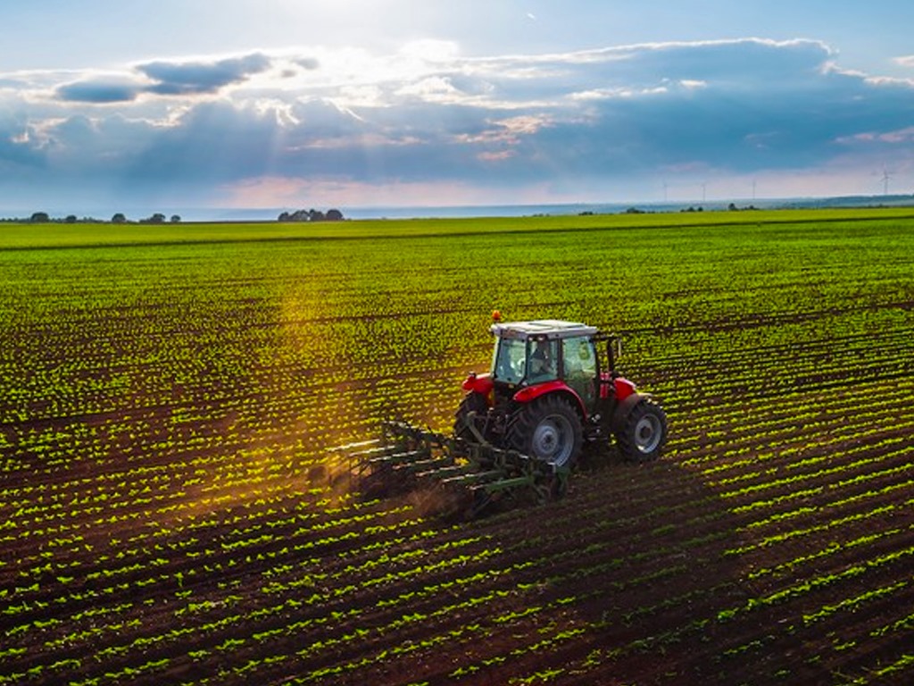 Le Togo renforce son secteur agricole avec un nouvel appui de 60 millions $ de la BID