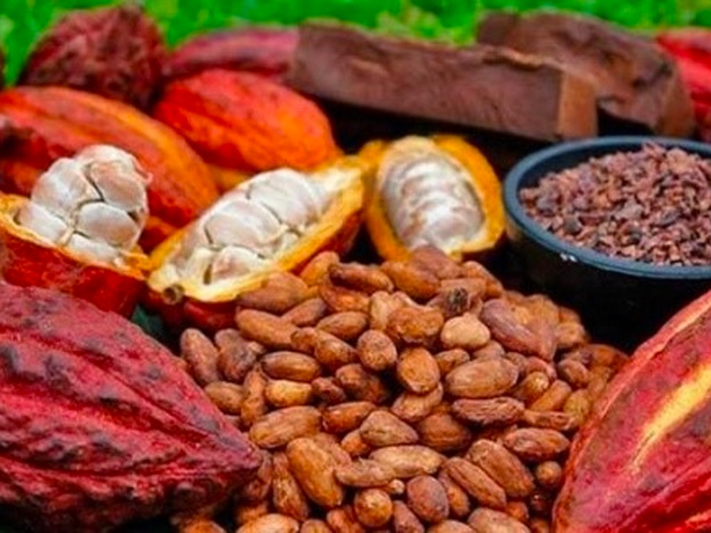 Togo : Le gouvernement protège les producteurs de café et de cacao en renforçant l’équité de la commercialisation